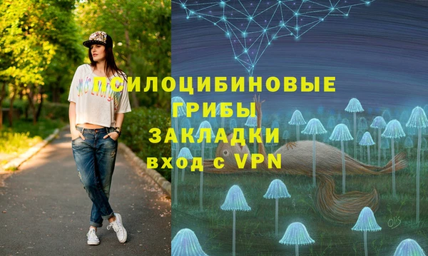 индика Костерёво