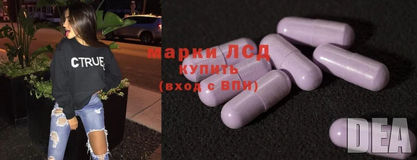 индика Костерёво