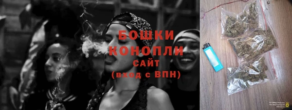 винт Коряжма
