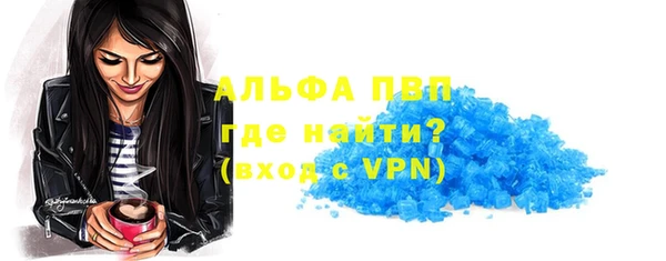 индика Костерёво