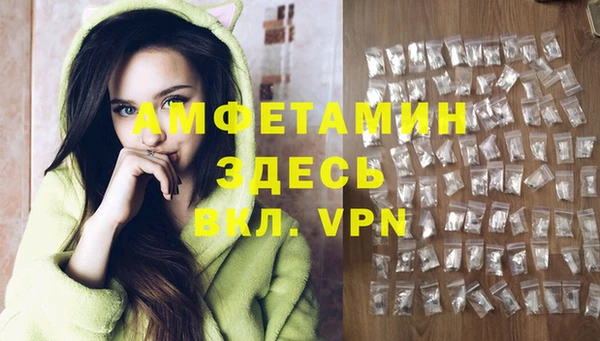 индика Костерёво