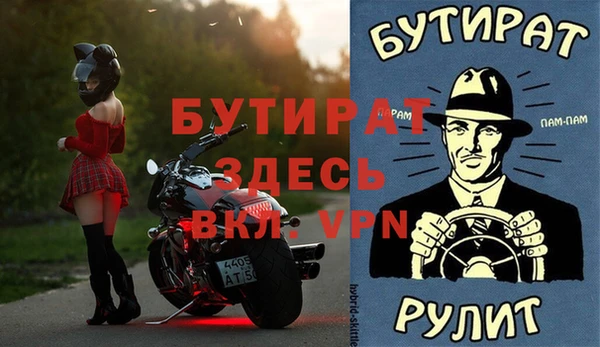 индика Костерёво