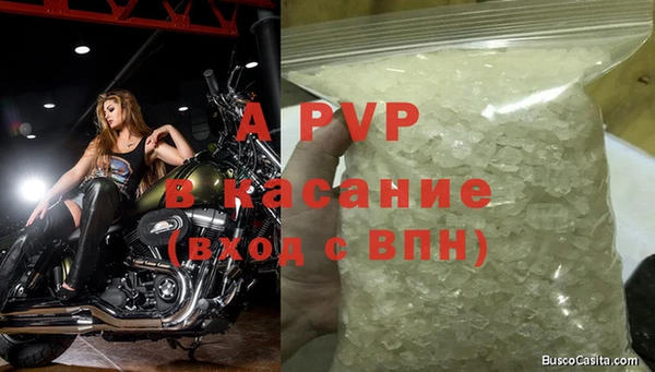 индика Костерёво