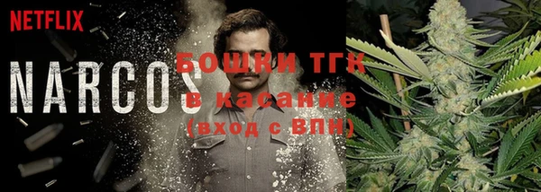 мяу мяу мука Корсаков