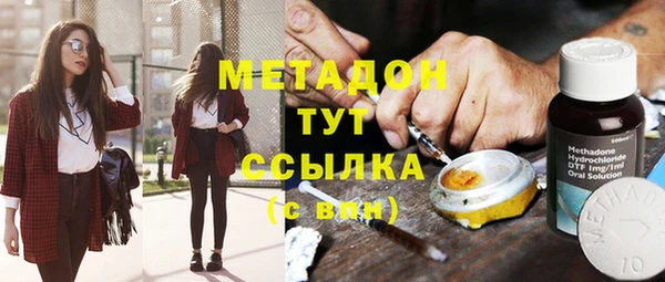 индика Костерёво