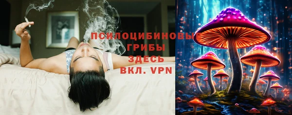 мяу мяу мука Корсаков