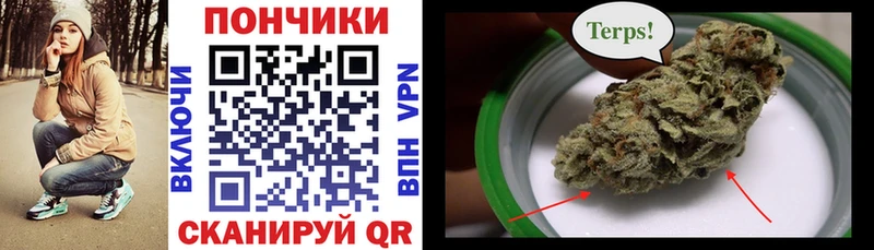 Конопля сатива Воркута